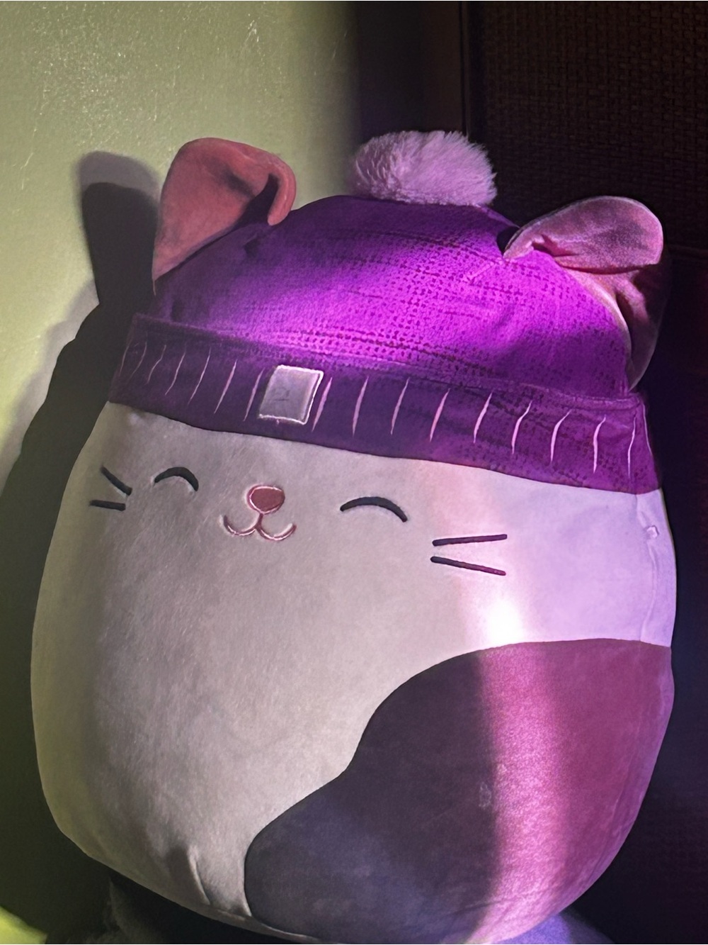 Plush Cat Cushion Pillow - Purple and Pink Cozy Pet Toy